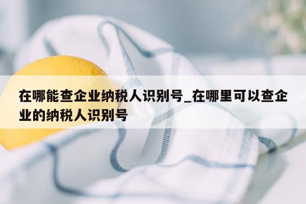 在哪能查企业纳税人识别号_在哪里可以查企业的纳税人识别号