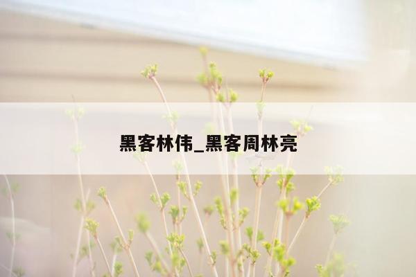 黑客林伟_黑客周林亮