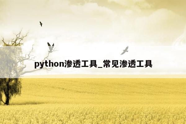 python渗透工具_常见渗透工具