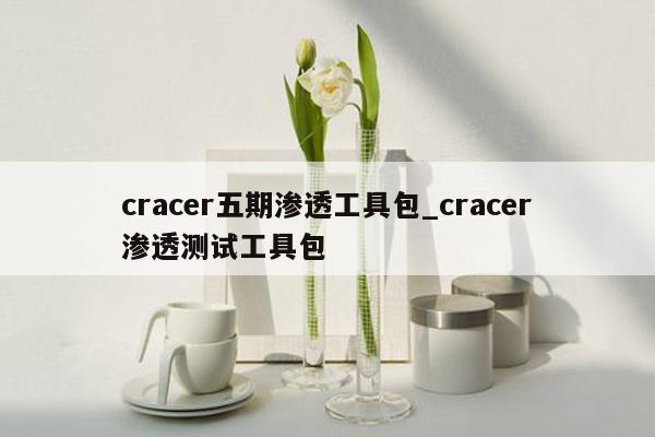 cracer五期渗透工具包_cracer渗透测试工具包