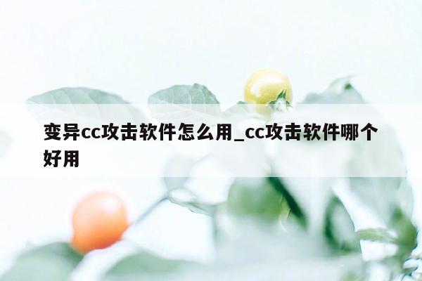 变异cc攻击软件怎么用_cc攻击软件哪个好用