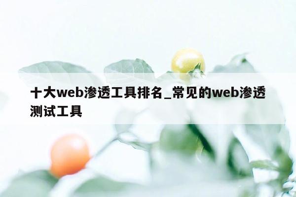 十大web渗透工具排名_常见的web渗透测试工具