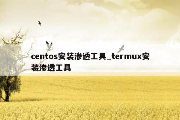 centos安装渗透工具_termux安装渗透工具