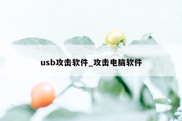 usb攻击软件_攻击电脑软件