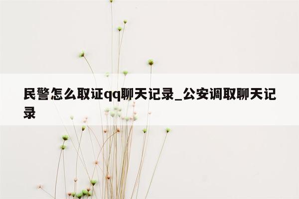 民警怎么取证qq聊天记录_公安调取聊天记录