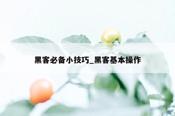 黑客必备小技巧_黑客基本操作