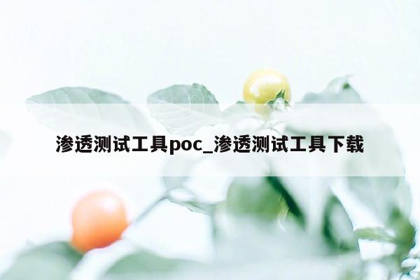 渗透测试工具poc_渗透测试工具下载