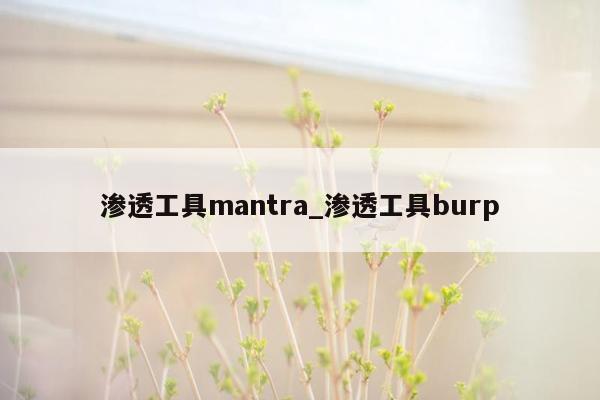 渗透工具mantra_渗透工具burp