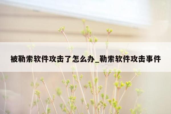 被勒索软件攻击了怎么办_勒索软件攻击事件