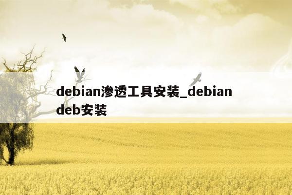 debian渗透工具安装_debian deb安装