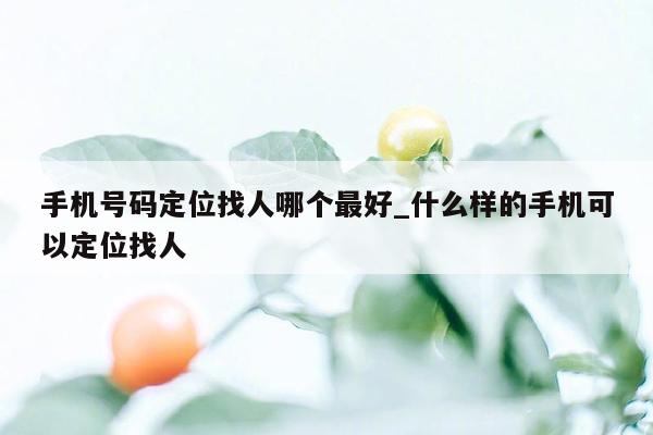 手机号码定位找人哪个最好_什么样的手机可以定位找人