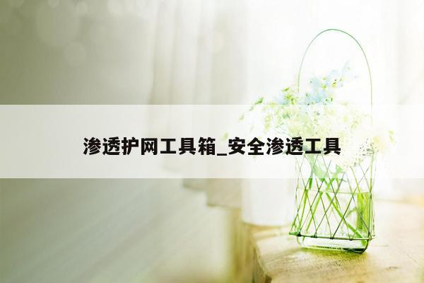 渗透护网工具箱_安全渗透工具