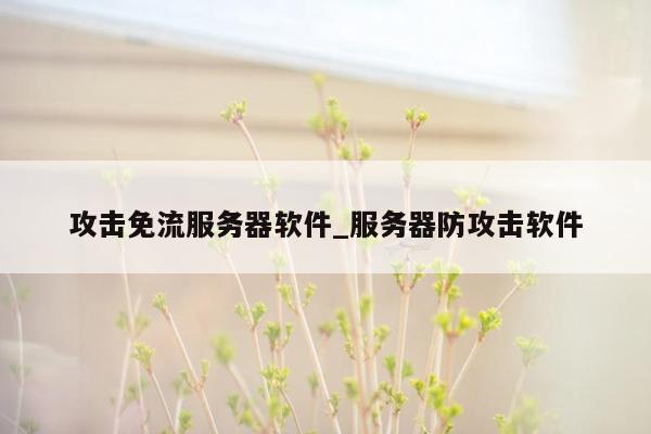 攻击免流服务器软件_服务器防攻击软件