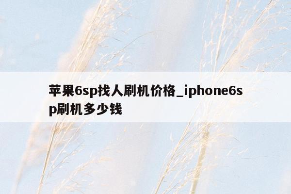 苹果6sp找人刷机价格_iphone6sp刷机多少钱