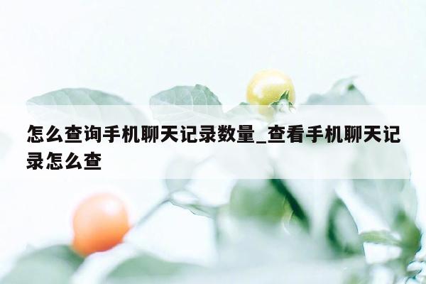 怎么查询手机聊天记录数量_查看手机聊天记录怎么查