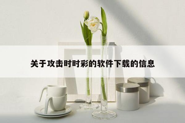 关于攻击时时彩的软件下载的信息