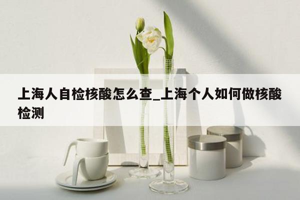 上海人自检核酸怎么查_上海个人如何做核酸检测