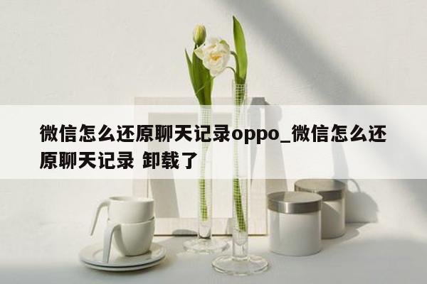 微信怎么还原聊天记录oppo_微信怎么还原聊天记录 卸载了