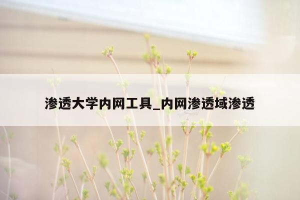 渗透大学内网工具_内网渗透域渗透