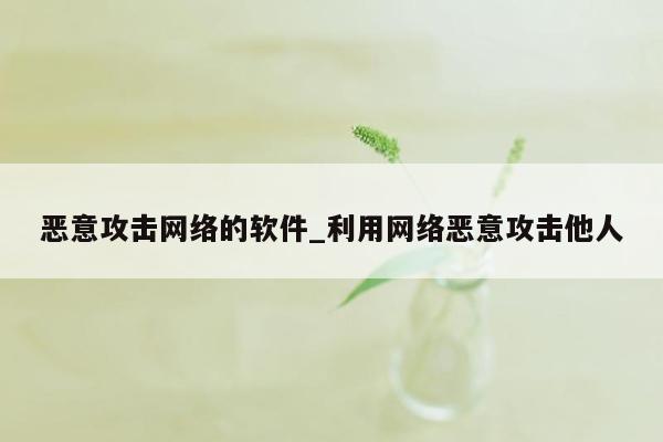 恶意攻击网络的软件_利用网络恶意攻击他人