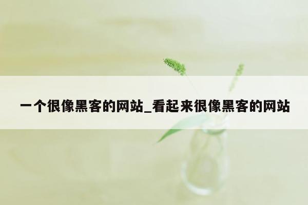 一个很像黑客的网站_看起来很像黑客的网站