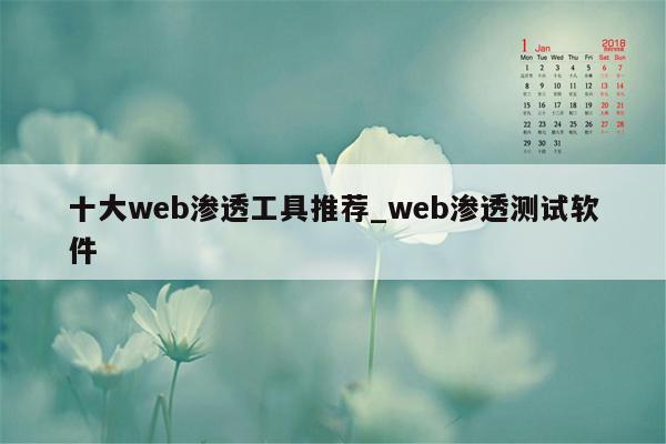 十大web渗透工具推荐_web渗透测试软件