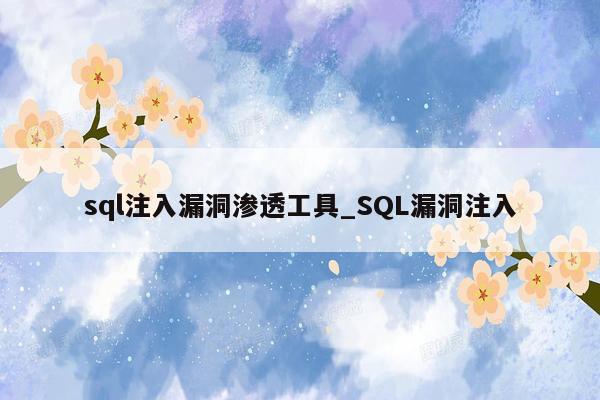 sql注入漏洞渗透工具_SQL漏洞注入