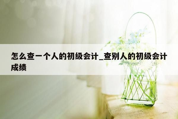 怎么查一个人的初级会计_查别人的初级会计成绩