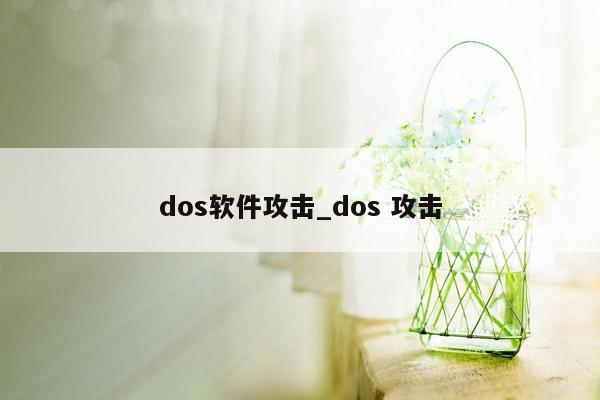 dos软件攻击_dos 攻击