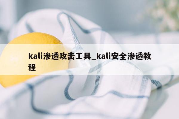 kali渗透攻击工具_kali安全渗透教程