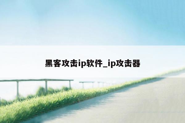 黑客攻击ip软件_ip攻击器