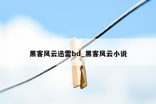 黑客风云迅雷bd_黑客风云小说