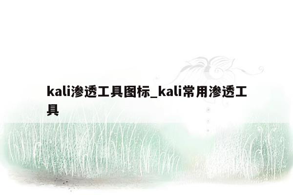 kali渗透工具图标_kali常用渗透工具