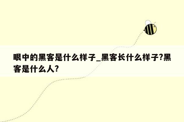 眼中的黑客是什么样子_黑客长什么样子?黑客是什么人?