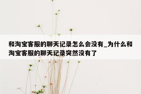 和淘宝客服的聊天记录怎么会没有_为什么和淘宝客服的聊天记录突然没有了