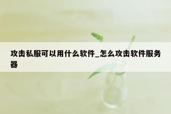 攻击私服可以用什么软件_怎么攻击软件服务器