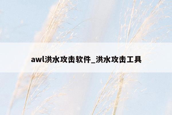 awl洪水攻击软件_洪水攻击工具