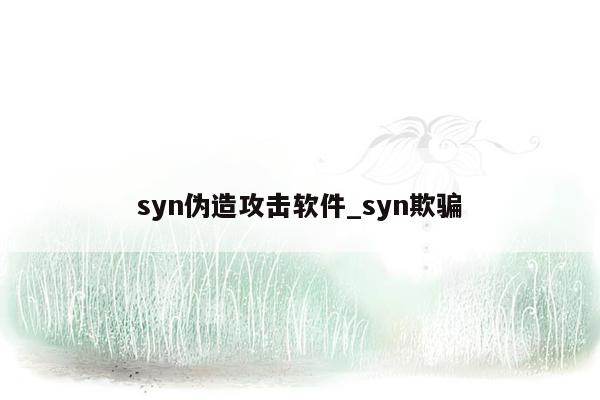 syn伪造攻击软件_syn欺骗