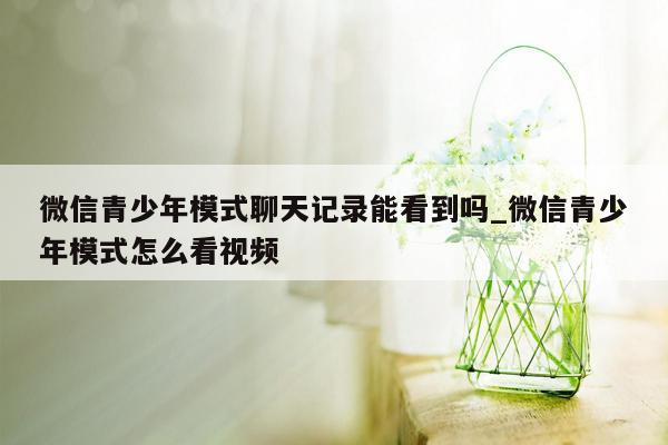 微信青少年模式聊天记录能看到吗_微信青少年模式怎么看视频