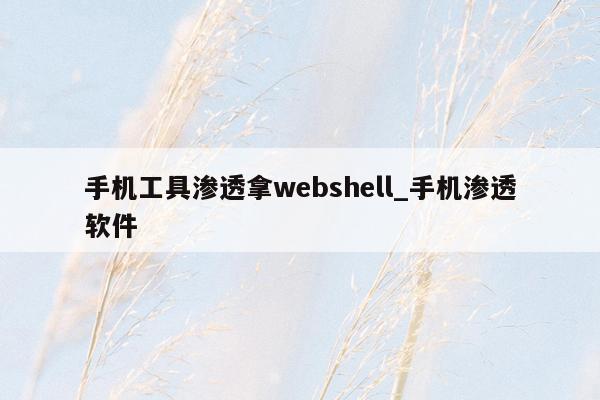 手机工具渗透拿webshell_手机渗透软件