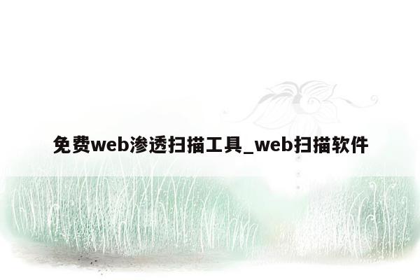 免费web渗透扫描工具_web扫描软件