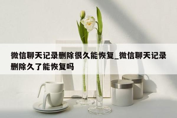 微信聊天记录删除很久能恢复_微信聊天记录删除久了能恢复吗