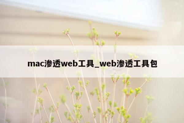 mac渗透web工具_web渗透工具包