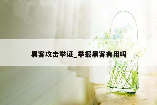 黑客攻击举证_举报黑客有用吗