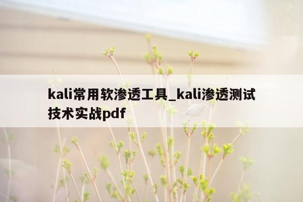 kali常用软渗透工具_kali渗透测试技术实战pdf