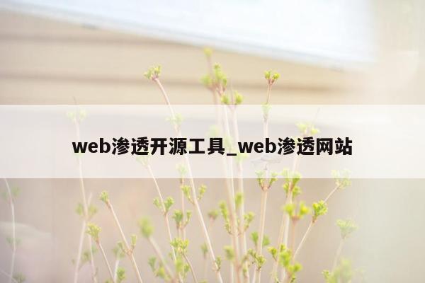 web渗透开源工具_web渗透网站