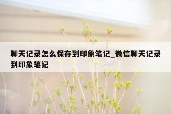 聊天记录怎么保存到印象笔记_微信聊天记录到印象笔记