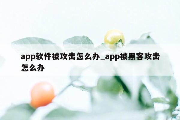 app软件被攻击怎么办_app被黑客攻击怎么办