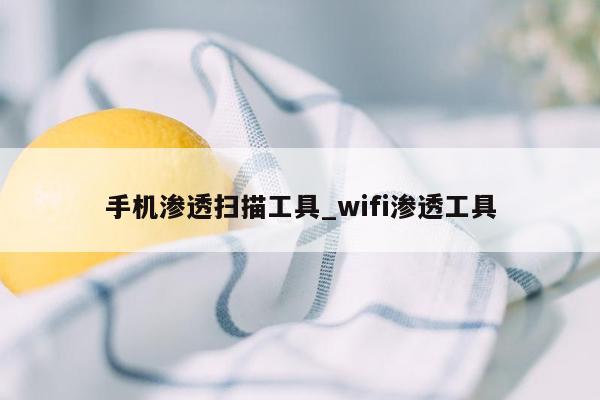 手机渗透扫描工具_wifi渗透工具