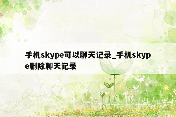 手机skype可以聊天记录_手机skype删除聊天记录